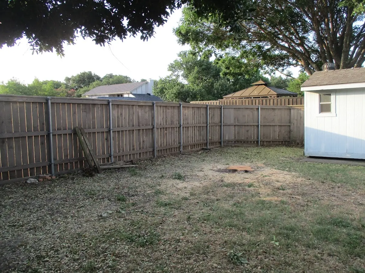 Cleared yard after professional tree removal in Plymouth